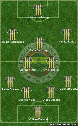 Fenerbahçe SK Formation 2010