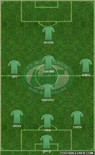 WIT-Georgia Tbilisi Formation 2010