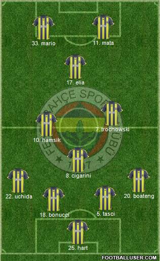 Fenerbahçe SK Formation 2010