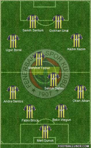 Fenerbahçe SK Formation 2010