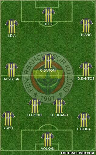 Fenerbahçe SK Formation 2010