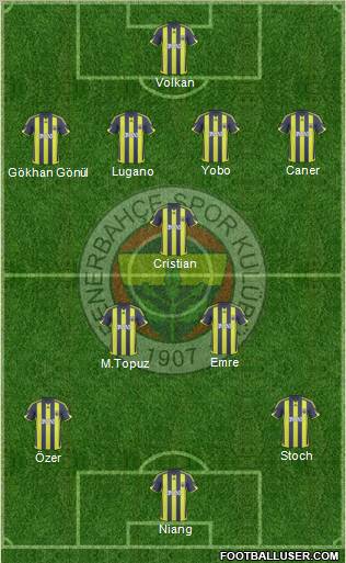 Fenerbahçe SK Formation 2010