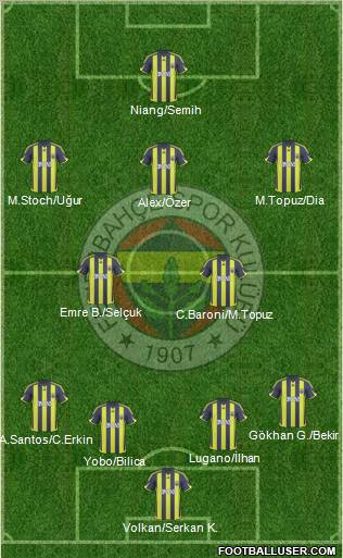 Fenerbahçe SK Formation 2010