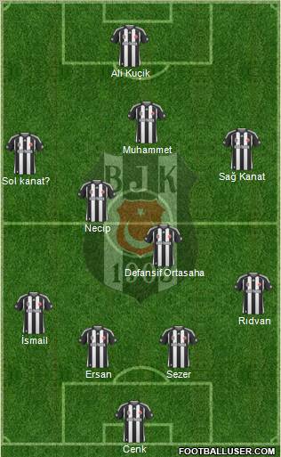 Besiktas JK Formation 2010