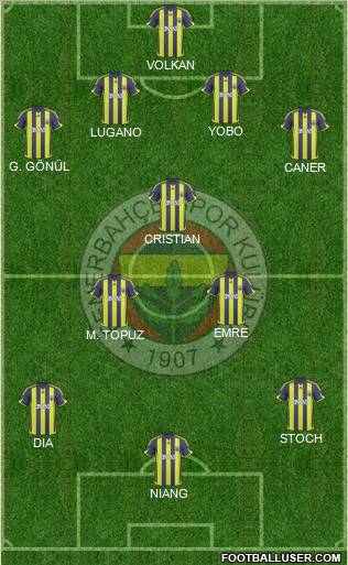 Fenerbahçe SK Formation 2010
