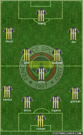 Fenerbahçe SK Formation 2010