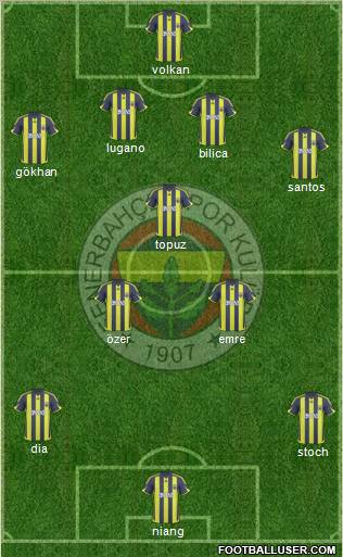 Fenerbahçe SK Formation 2010