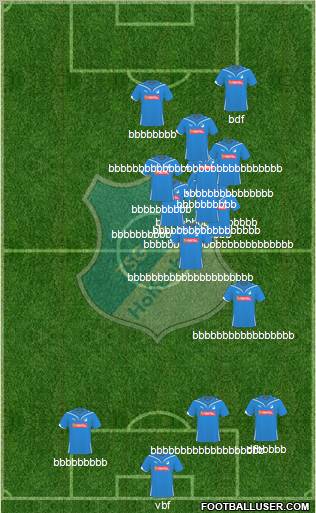 TSG 1899 Hoffenheim Formation 2010