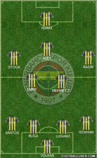 Fenerbahçe SK Formation 2010