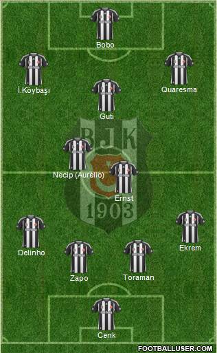 Besiktas JK Formation 2010
