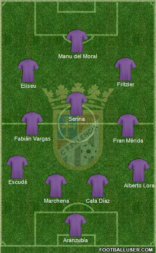 C.F. Palencia Formation 2010