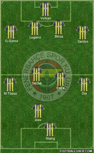 Fenerbahçe SK Formation 2010