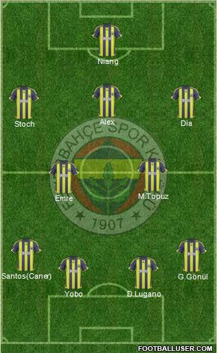 Fenerbahçe SK Formation 2010