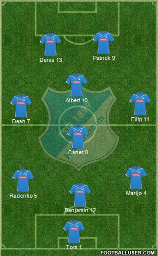 TSG 1899 Hoffenheim Formation 2010