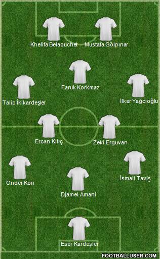 Aydinspor Formation 2010