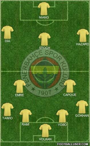 Fenerbahçe SK Formation 2010