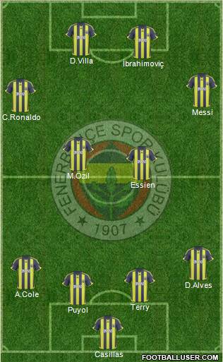 Fenerbahçe SK Formation 2010