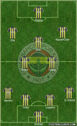 Fenerbahçe SK Formation 2010