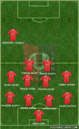 Usakspor Formation 2010