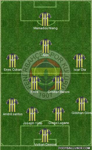 Fenerbahçe SK Formation 2010