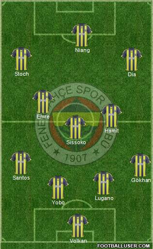 Fenerbahçe SK Formation 2010