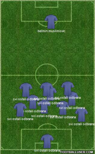 Champions League Team Formation 2010