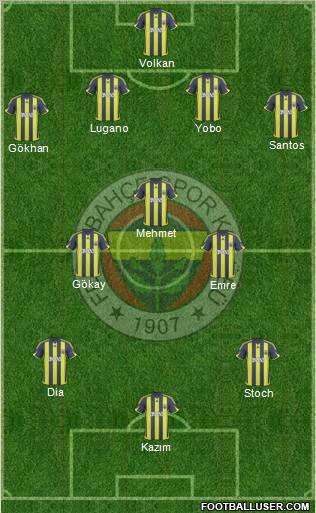 Fenerbahçe SK Formation 2010