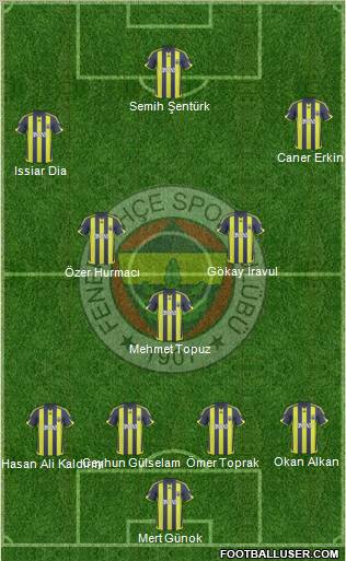 Fenerbahçe SK Formation 2010