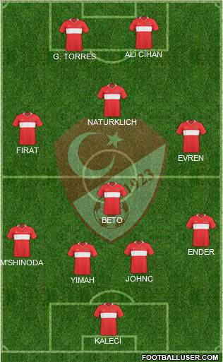 Turkey Formation 2010