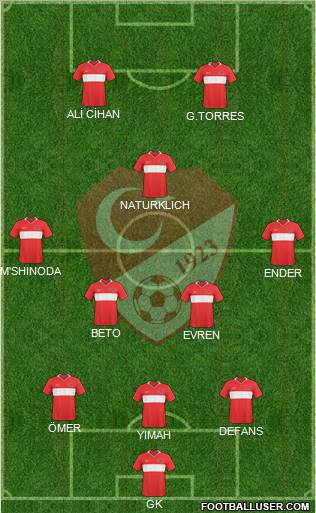 Turkey Formation 2010
