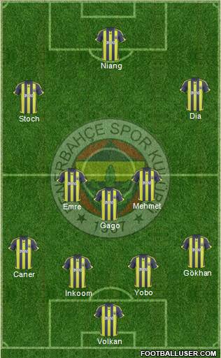 Fenerbahçe SK Formation 2010