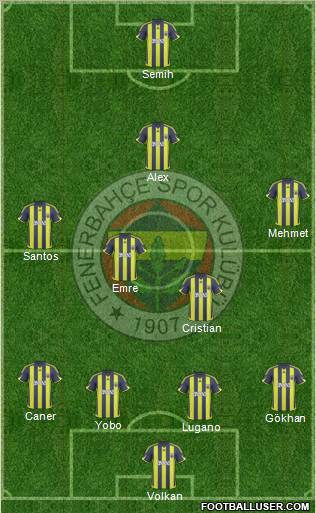 Fenerbahçe SK Formation 2010