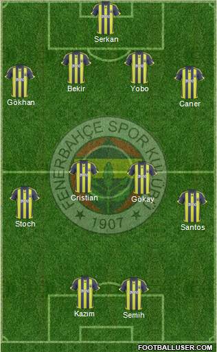 Fenerbahçe SK Formation 2010