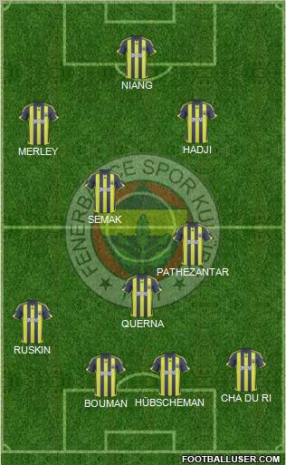 Fenerbahçe SK Formation 2010