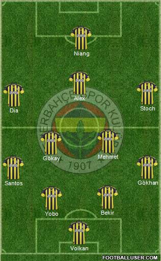 Fenerbahçe SK Formation 2010
