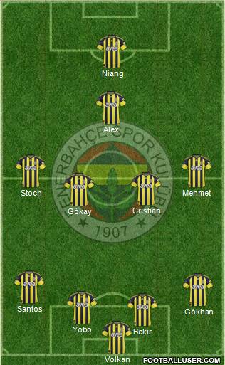 Fenerbahçe SK Formation 2010