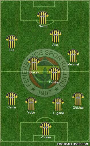 Fenerbahçe SK Formation 2010