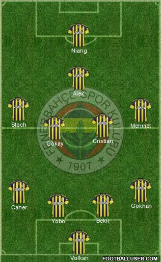 Fenerbahçe SK Formation 2010