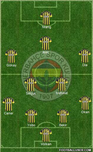 Fenerbahçe SK Formation 2010