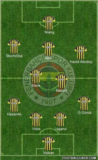 Fenerbahçe SK Formation 2010