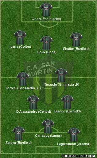 San Martín de San Juan Formation 2010