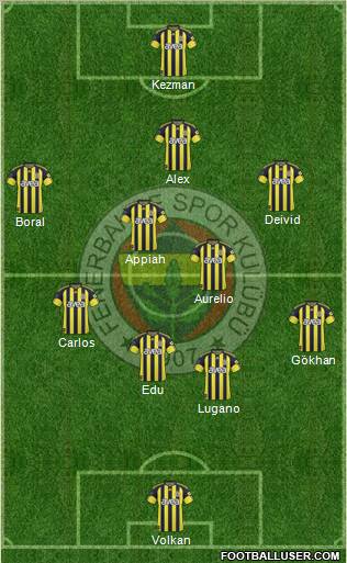 Fenerbahçe SK Formation 2010