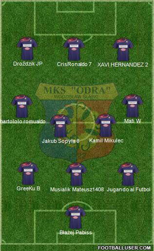 Odra Wodzislaw Slaski Formation 2010