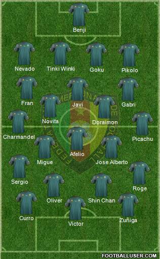 Cameroon football formation