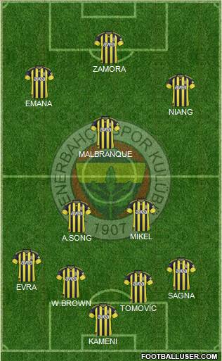 Fenerbahçe SK Formation 2010