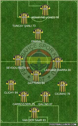 Fenerbahçe SK Formation 2010