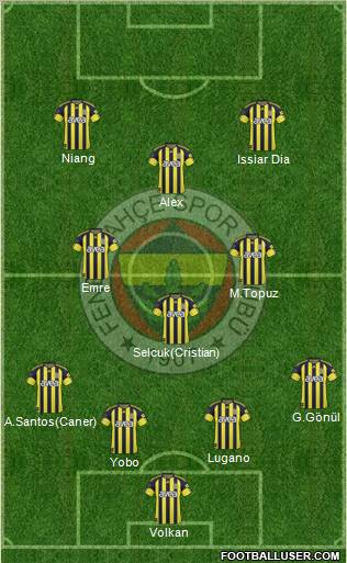 Fenerbahçe SK Formation 2010