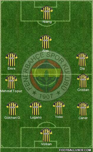 Fenerbahçe SK Formation 2010
