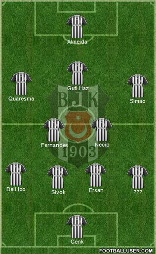 Besiktas JK Formation 2010