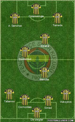 Fenerbahçe SK Formation 2010
